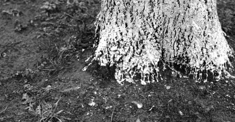 Wystawa fotografii Tadeusza Rolke