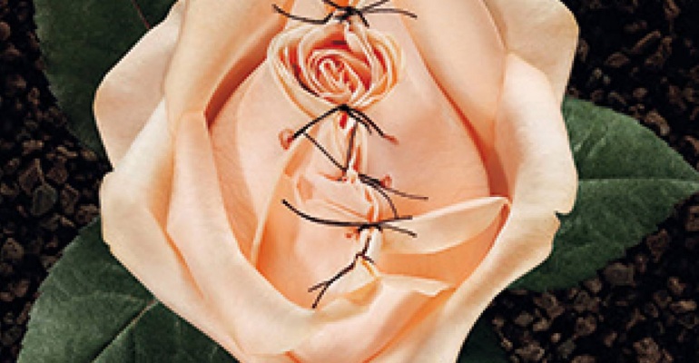 Więcej niż reklama - jak to robią Szwedzi