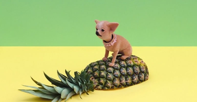 Sylwester z Flirtini