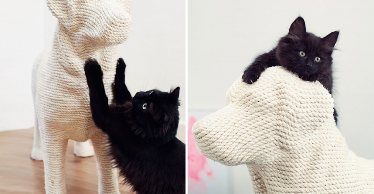 Twojego kota często atakują psy? Kup mu zabawkę, która zapewni słodką zemstę.