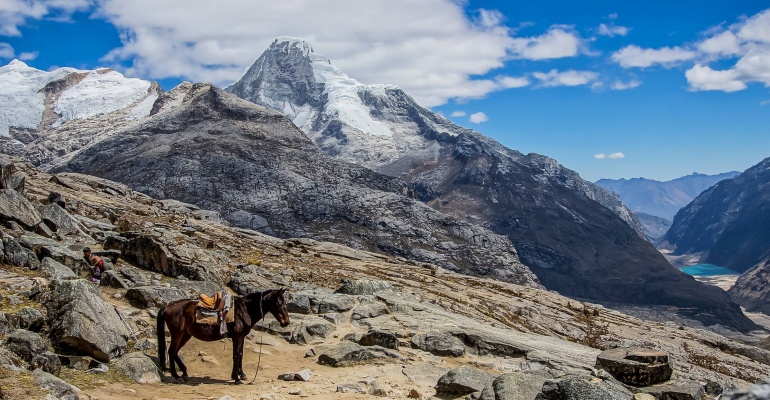Śladami Inków, lam i Escobara