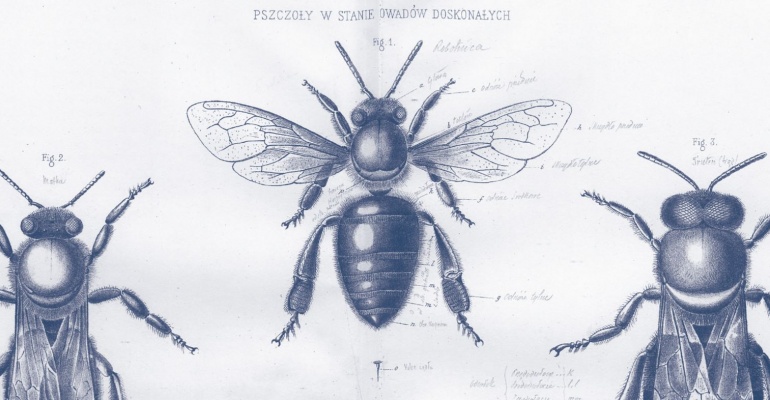Komunikacja w sytuacjach kryzysu / otwarta dyskusja