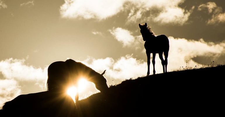 Gruzja – tajemnice Wschodniego Kaukazu