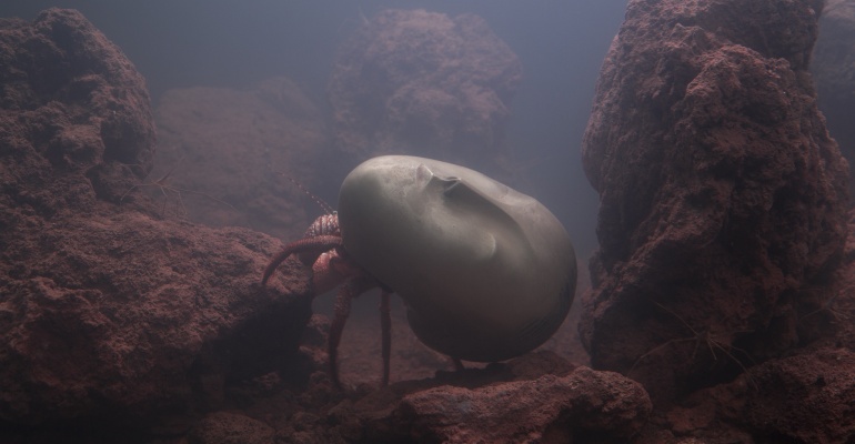 Sztuka jest, czym jest