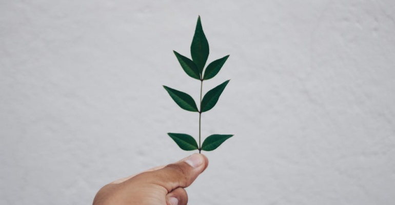 Ogrody Sztuki - Noc Muzeów w Forcie Mokotów