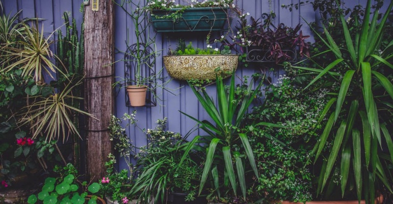 Rośnie w Ogrodzie Warsztaty Ogrodnicze Vol. 2