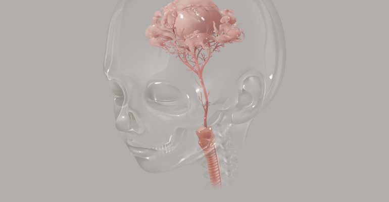 Nowy album Sleep Party People