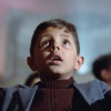 Kino letnie w Królikarni: Cinema Paradiso