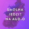 Smolna Na Audioriver Festival