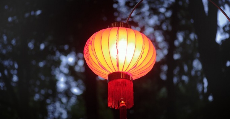 Festiwal Światła w Łazienkach Królewskich