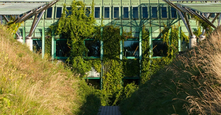 Warszawski Festiwal Kulinarny "Rośliny, owady i miód"