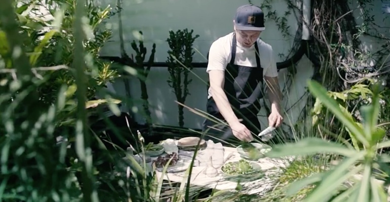 Warszawski Festiwal Kulinarny „Rośliny, Owady i Miód”