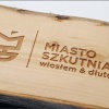 Zbuduj własną deskę Longboard lub Skimboard w Miasto Szkutnia