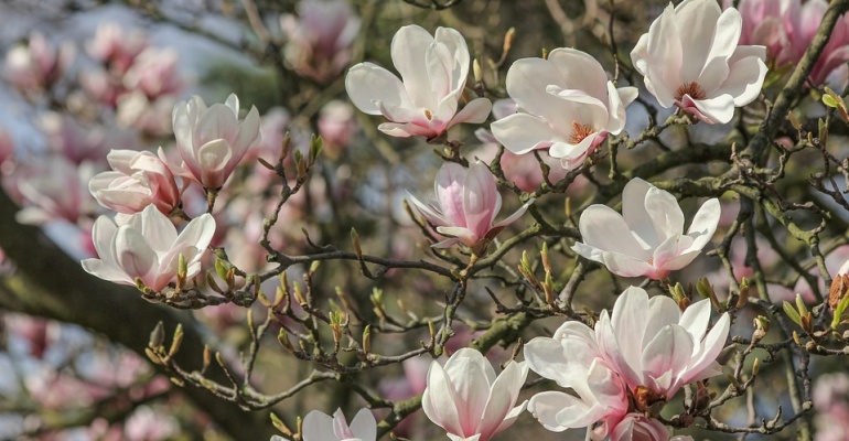 Kwiecień! Pokaż światu, że wiosna to nie tylko widok za oknem