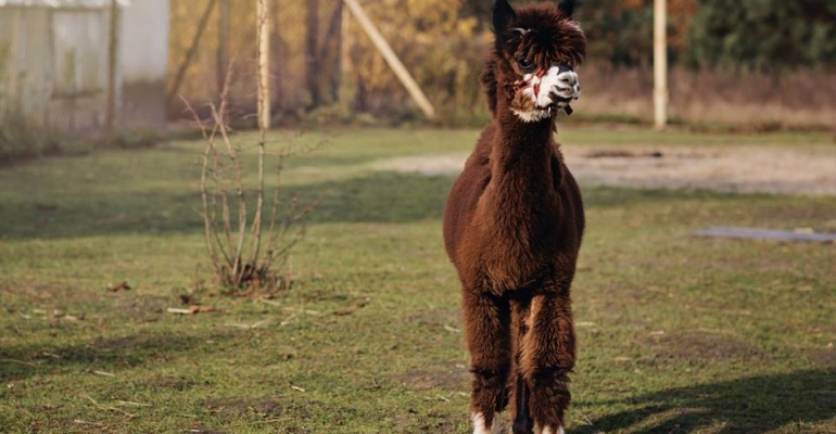 Redakcyjne typy z kalendarium na najbliższy weekend