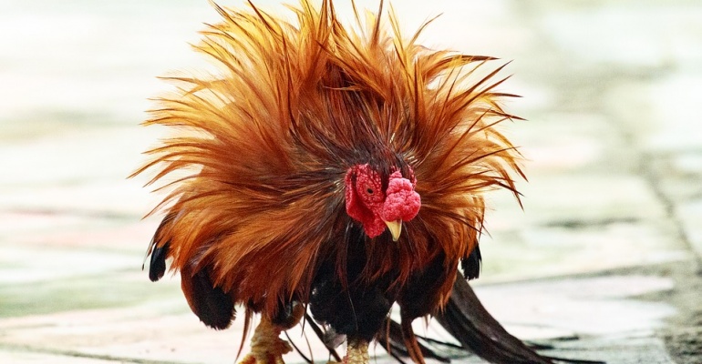 Co ciekawego w Warszawie? Weekend 4-6.05