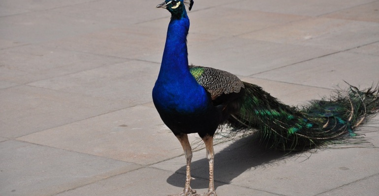 Pierwszy weekend sierpnia – nasze typy