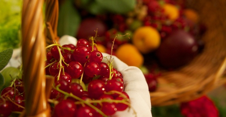 Gdzie szukać dzikich plonów? Warszawa