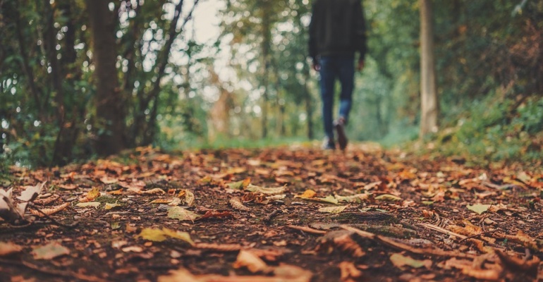 Wydarzenia – ostatni weekend września. Nasze typy!