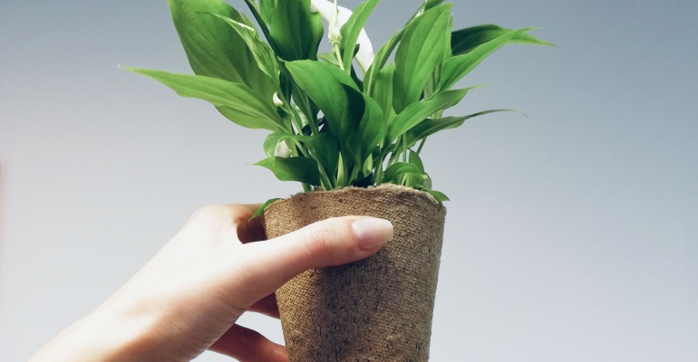 Bądź eko! Oddaj zużyty smartfon i tablet. Odbierz swój kwiatek