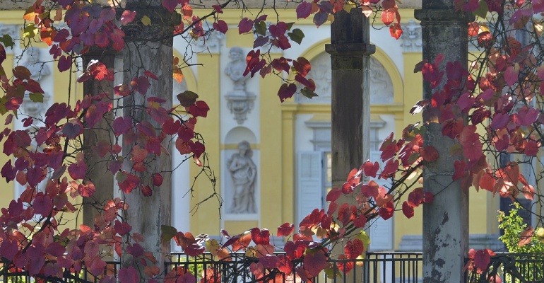 Darmowy Listopad w Muzeum Pałacu Króla Jana III w Wilanowie