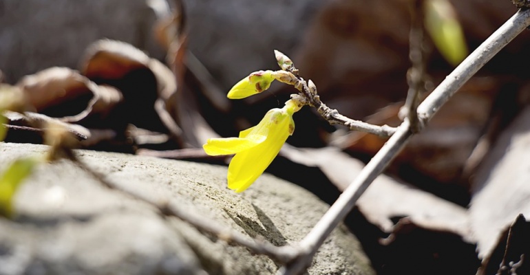 Chodźmy na miasto! Wydarzenia 5-7.04