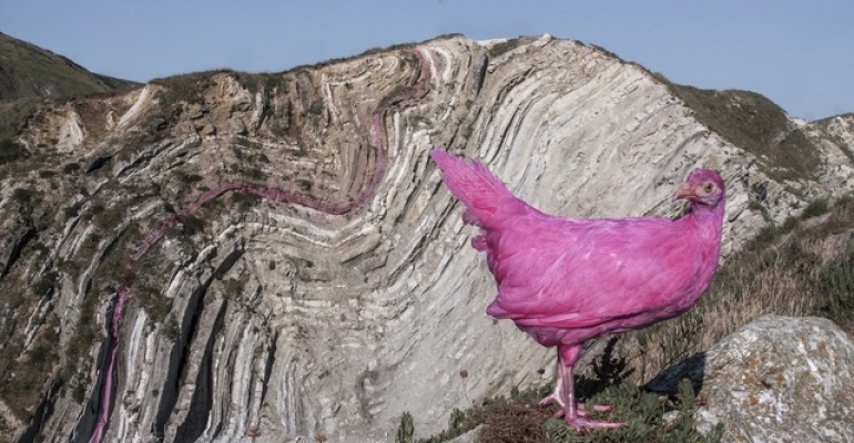 Jedzenie przyszłości na festiwialu Przemiany