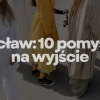 Wrocław: 10 pomysł&oacute;w na wyjście w tygodniu 15-22 października 2026