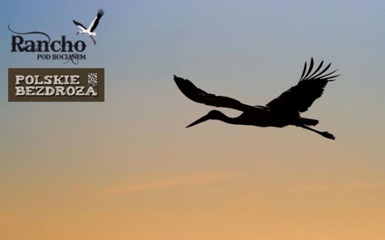 Czekając Na Bociany