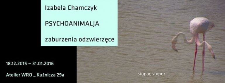 Izabela Chamczyk _ PSYCHOANIMALJA _ zaburzenia odzwierzęce
