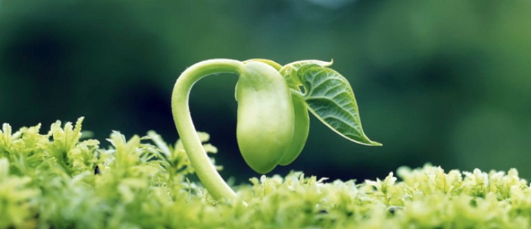 AKADEMIA MINDFULNESS - kurs MBSR 2016r.