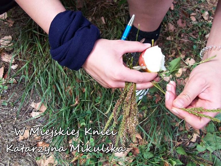 Jak więcej zobaczyć i usłyszeć w lesie. ( how to see and hear more in the woods )