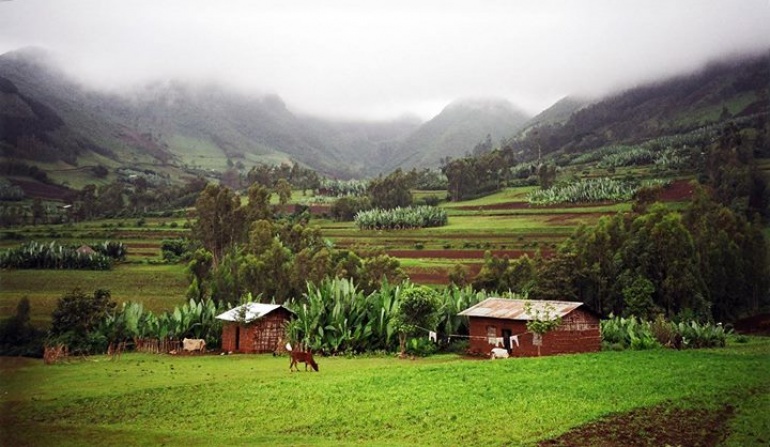 Black Gold w Secret Life Cafe