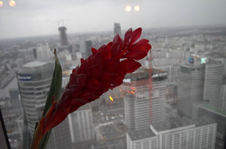 PIĘKNY CZWARTEK Z fineLIFE