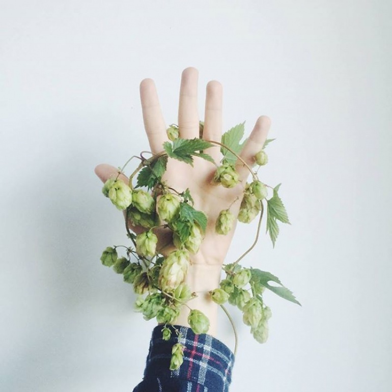 Roślinne Porady - dzikie rośliny jadalne - Warszawa