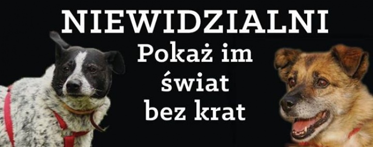 Niewidzialni - Pokaż im świat bez krat