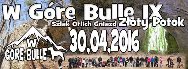 W Górę Bulle edycja IX