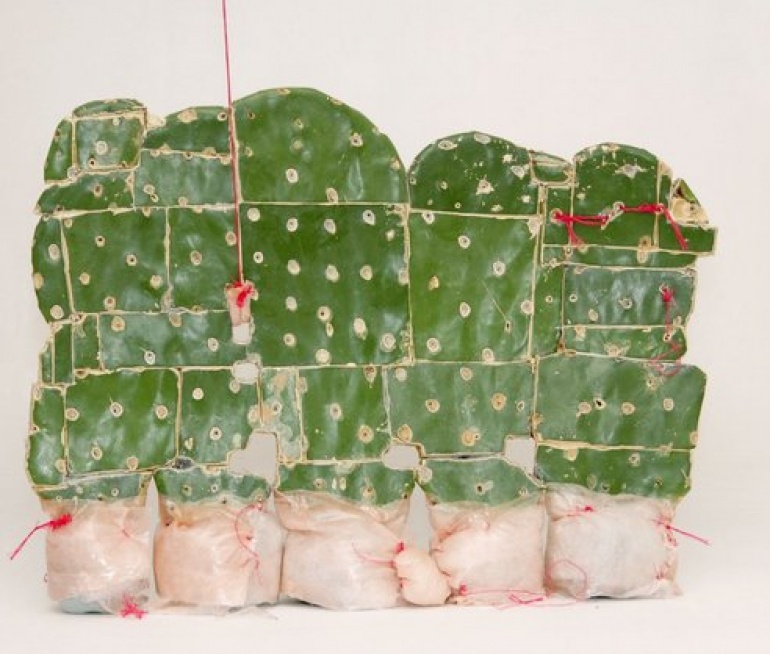 "Laboratorium ciał roślinnych" w Galerii Studio