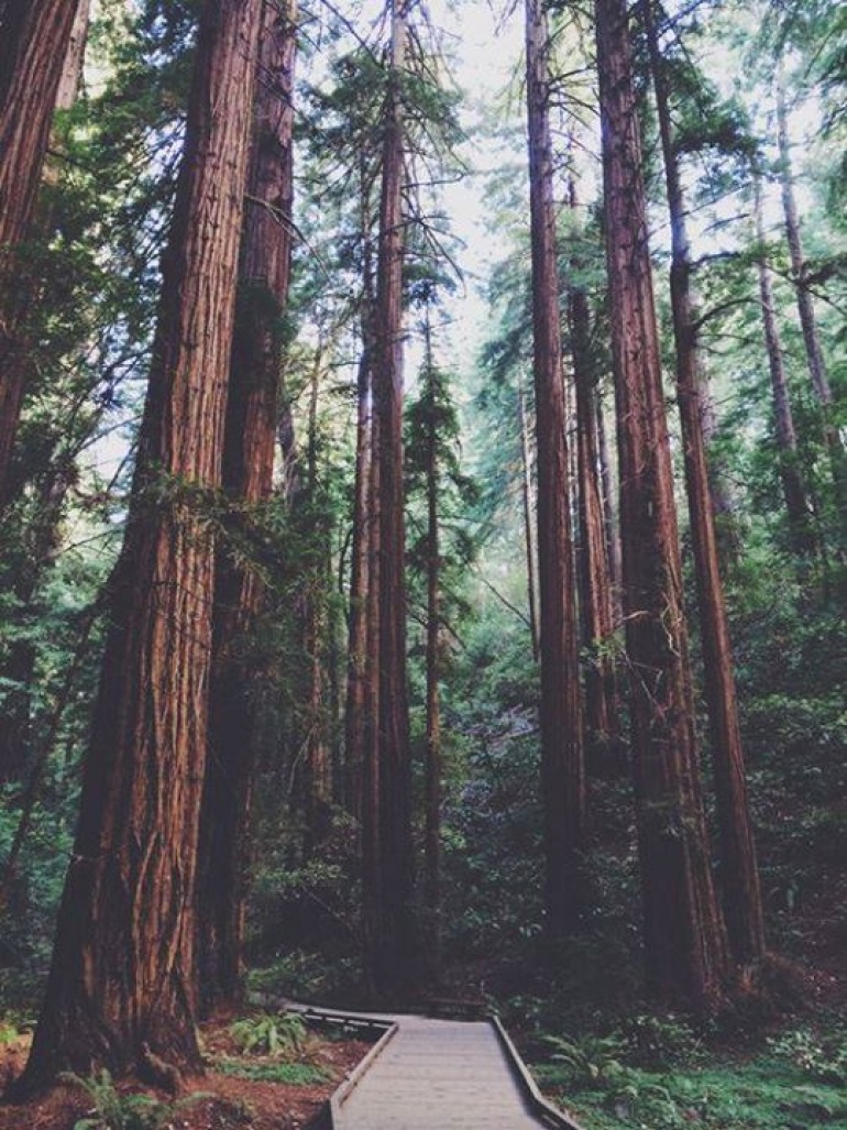 Weekendowe oczyszczanie z jogą i ajurwedą na Mazurach