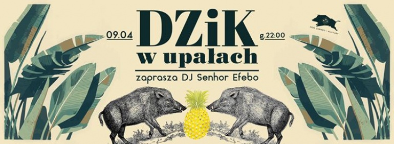 DZiK w upałach // gra DJ Senhor Efebo