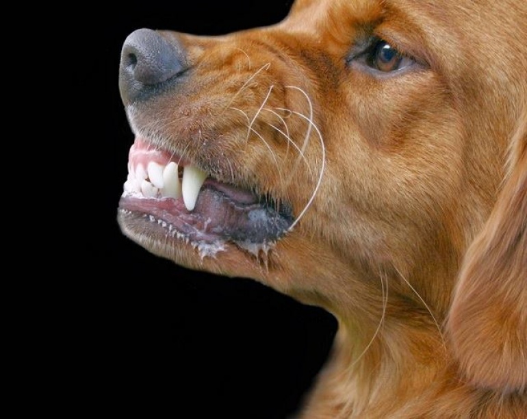 Agresja - szkolenie indywidualne