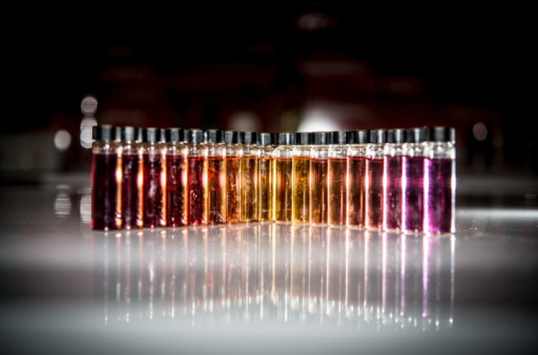 "Fotosynteza w kulkach" - Minilaby w Centrum Nauki Kopernik