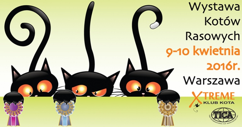 Międzynarodowa Wystawa Kotów Rasowych