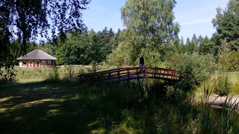 Przesilenie Letnie - czas na całkowite odnowienie (joga i uzdrawianie)