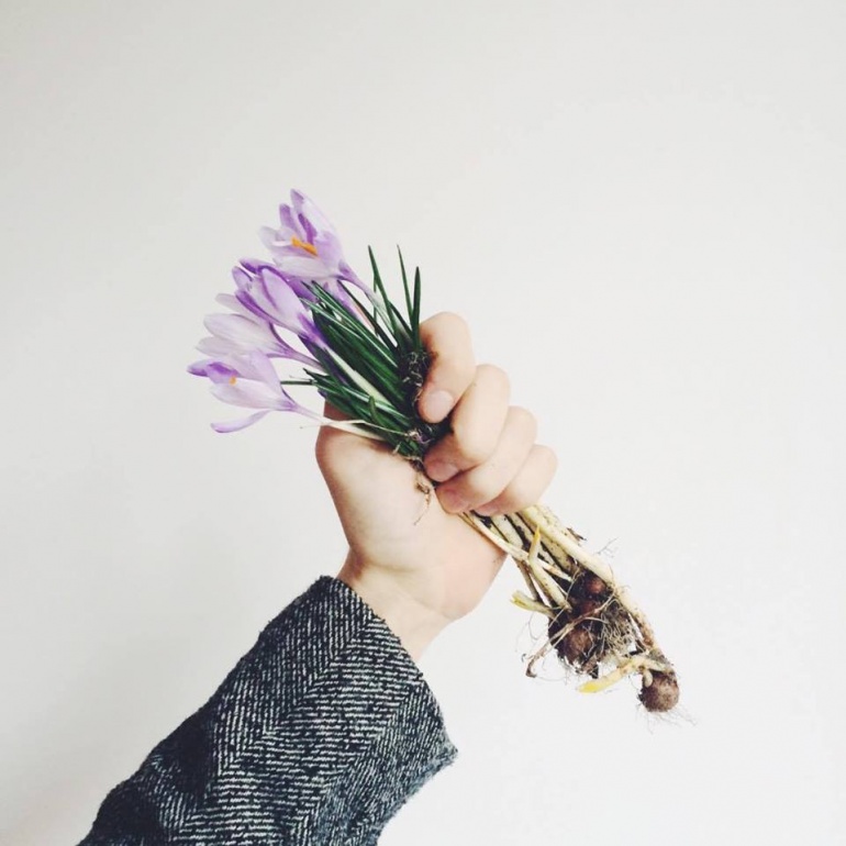 Roślinna Wymiana | Łódź - Pan Tu Nie Stał