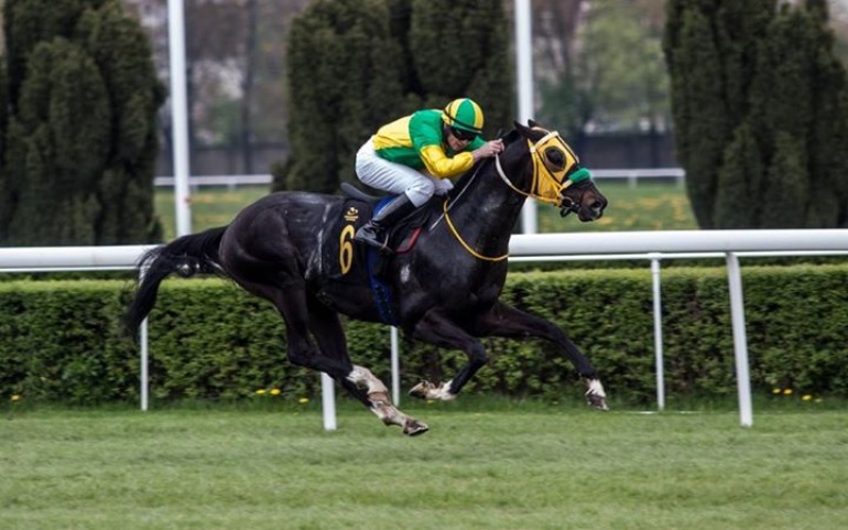 6 i 7 dzień wyścigowy - Nagroda Irandy i Nagroda Pamira