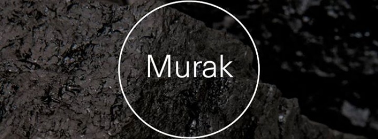 Teresa Kazimiera Murak-Rembielińska | otwarcie wystawy / opening of the exhibition