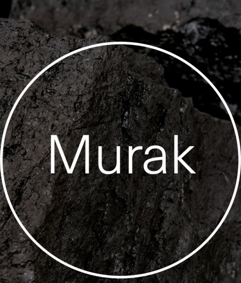 Wystawa Teresy Murak - Galeria Zachęta