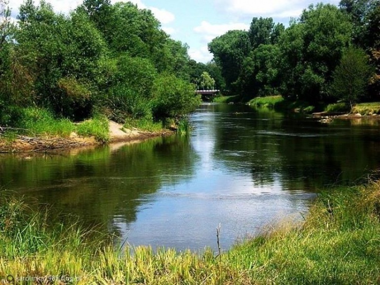 Sulejowski Park Krajobrazowy
