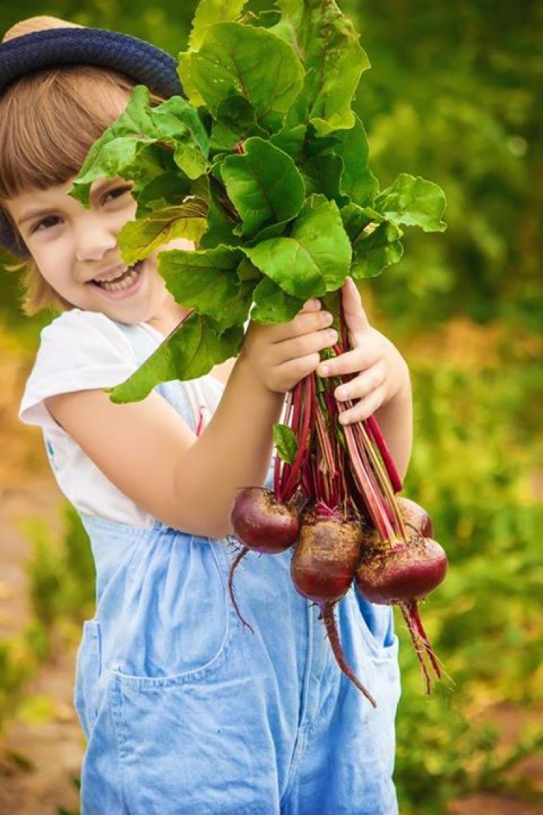Warsztaty kulinarne dla dzieci